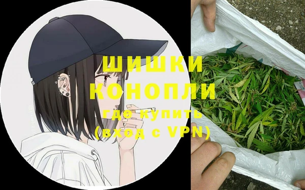 дживик Краснослободск