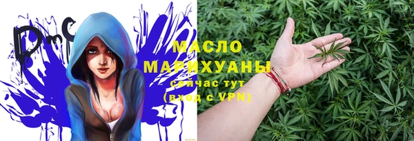 дживик Краснослободск