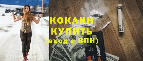 дживик Краснослободск