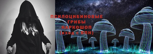 дживик Краснослободск