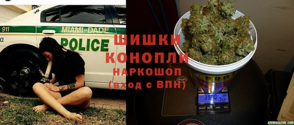 дживик Краснослободск