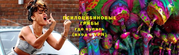 дживик Краснослободск