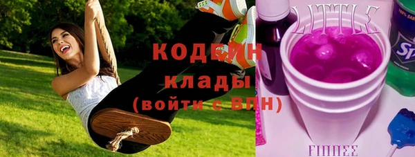 дживик Краснослободск