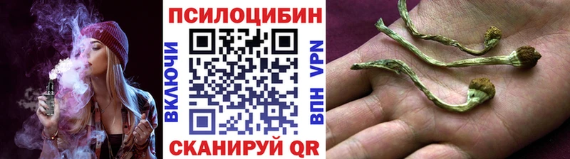 Купить  Курильск  Галлюциногенные грибы ЛСД 